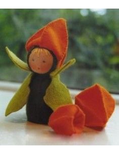 Kit Bimbo Alchechengi 2