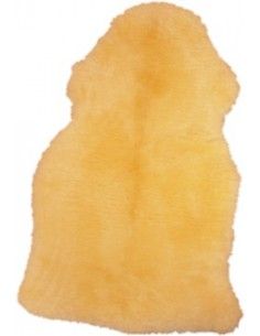 Concia medicinale (Relugan)... 2