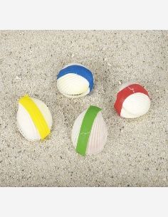 Conchiglia magica Peggy... 2