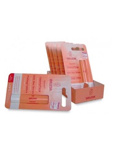 Everon proteggi labbra 4,8gr