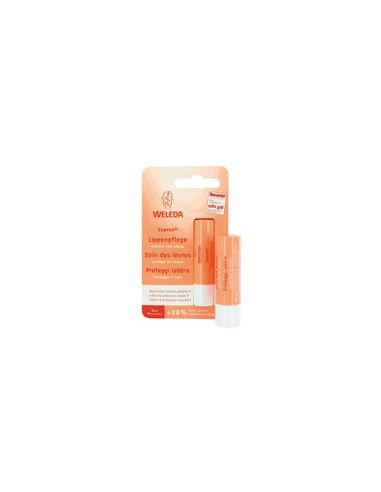 Everon proteggi labbra 4,8gr