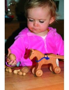 Cavallo Willy su ruote di... 2