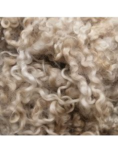 Riccioli di lana colore...