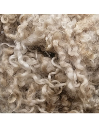 Riccioli di lana colore bianco...