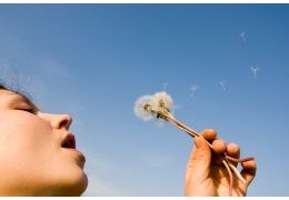 Allergie stagionali e purificatori d'aria